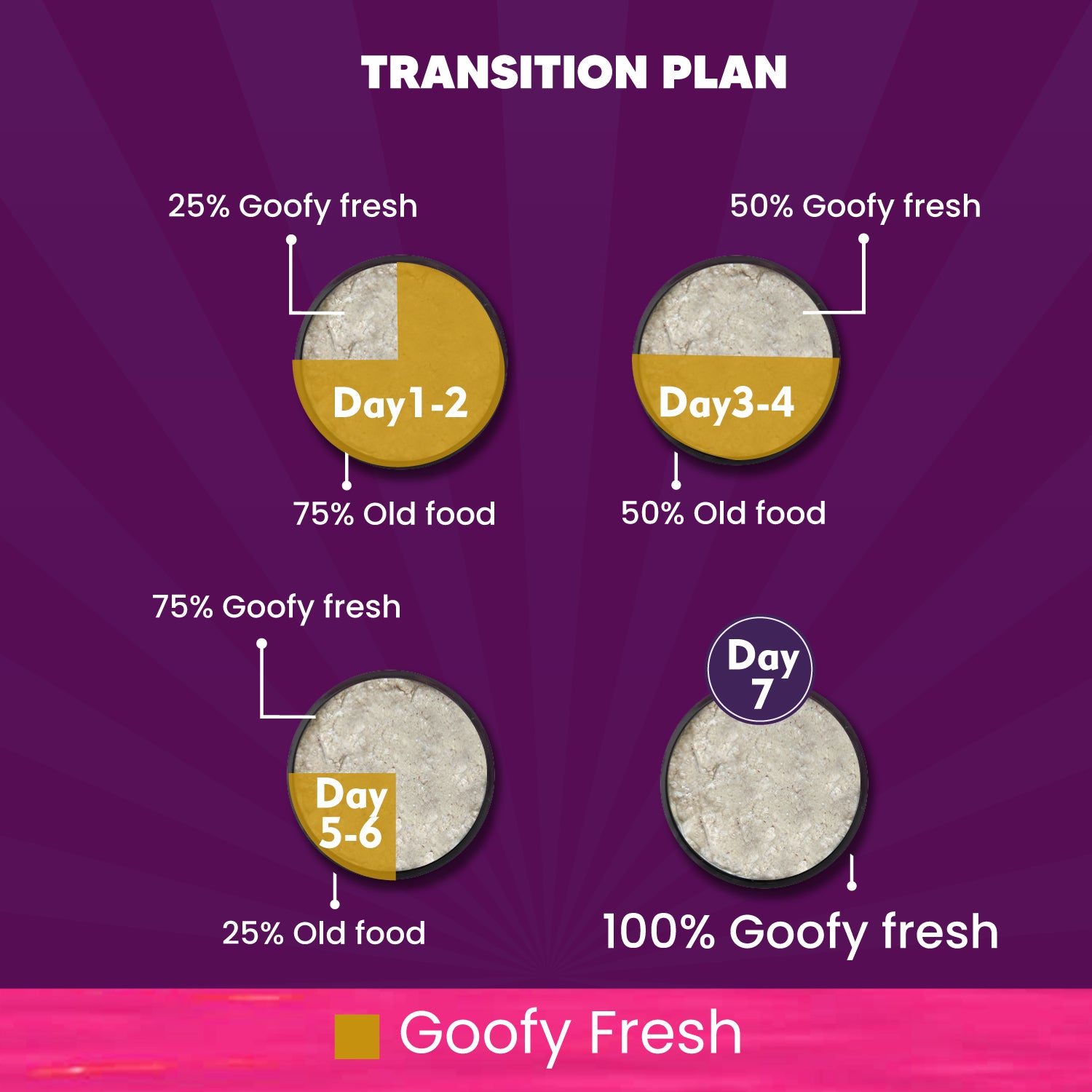 Transition Plan Cat Meals