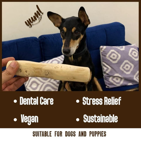 Benefits of Coffee Wood Chew Toys for Adult Dogs