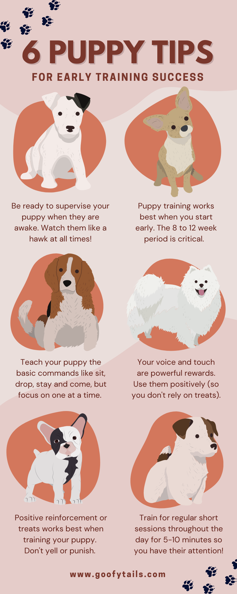 how much time should you spend training a puppy