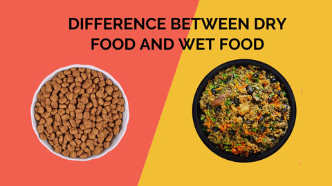 Difference Between dry food And wet Food