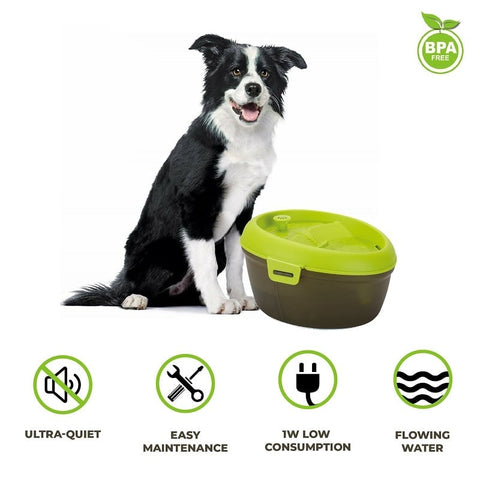 Goofy Tails Pet Water Fountain