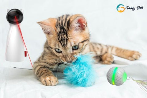 3-in-1 Interactive Cat Toys, Automatic Boredom Relief Kitten Toys, Smart  Kitten