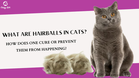 What are hairballs in cats?