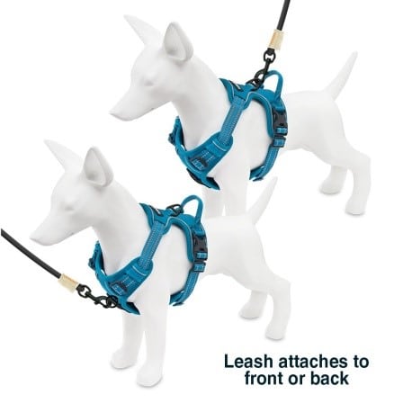 dual harnesses for dogs
