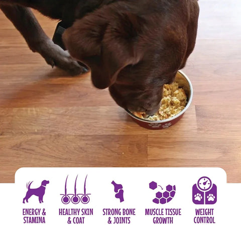 Goofy Tails Healthy Meals For Dogs