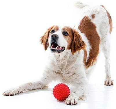 Goofy Tails Rubber Spike Ball Dog (7168254214294)
