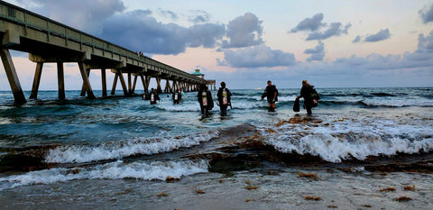 Divers getting into the ocean for the Pier Clean-up 2022
