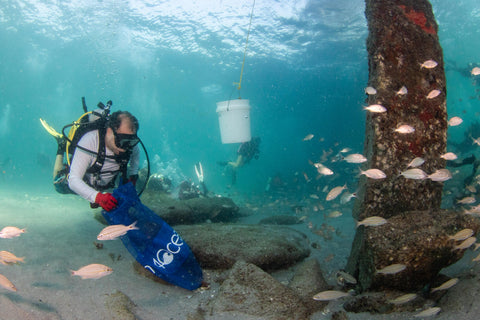 Diver collecting debris from the Pier Clean-up 2022