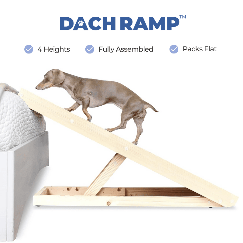 Dog Ramps for Dachshunds | DachRamp™ by Alpha Paw