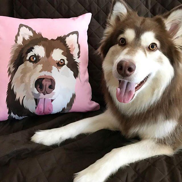 Image of Custom Pet Couch Pillow with Cover