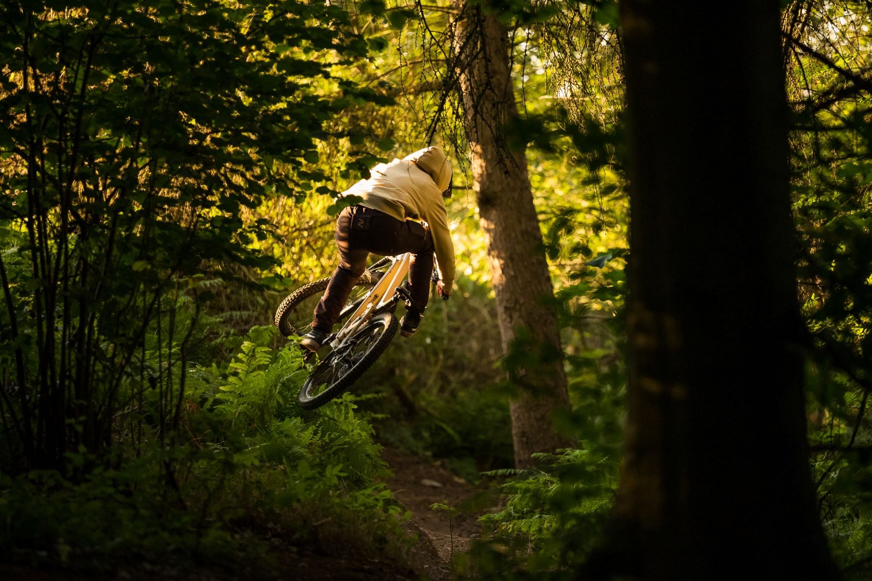 Picture of Mountain Biker Jumping at sunrise