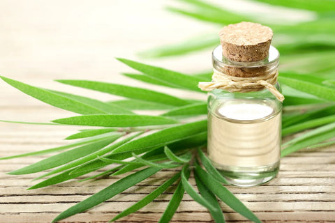 tea tree oil which can be helpful for psoriasis relief
