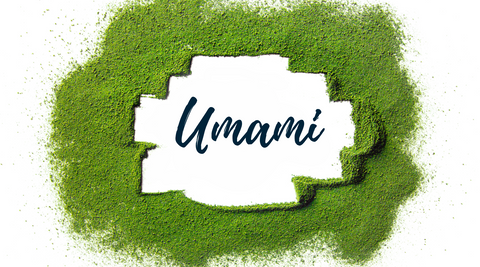Why Umami Matters - Enhancing the Taste and Benefits of Matcha Green Tea