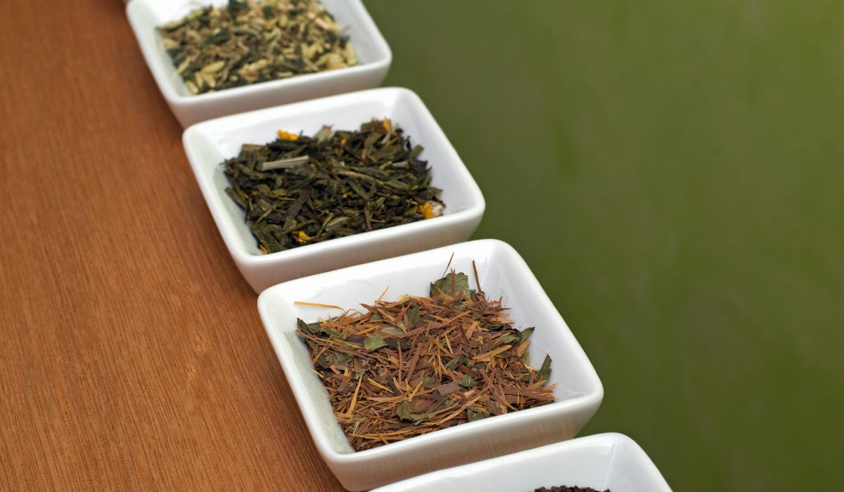 Different types of green tea in small white dishes on display