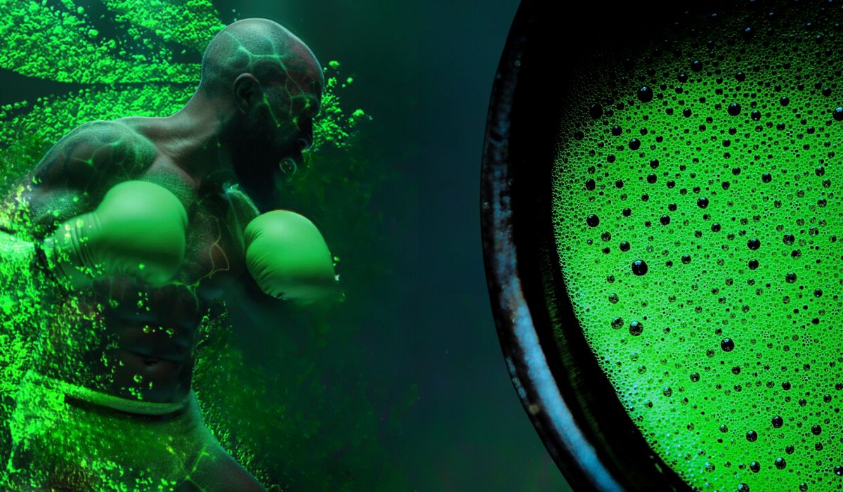 Image of a boxer emerged from a bath of matcha punching a bowl of matcha to represent energy