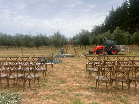 Preparing the wedding venue in the grove