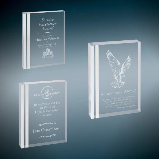 Custom Acrylic Award with Silver Striped Edge | Engraving Included | Business Awards