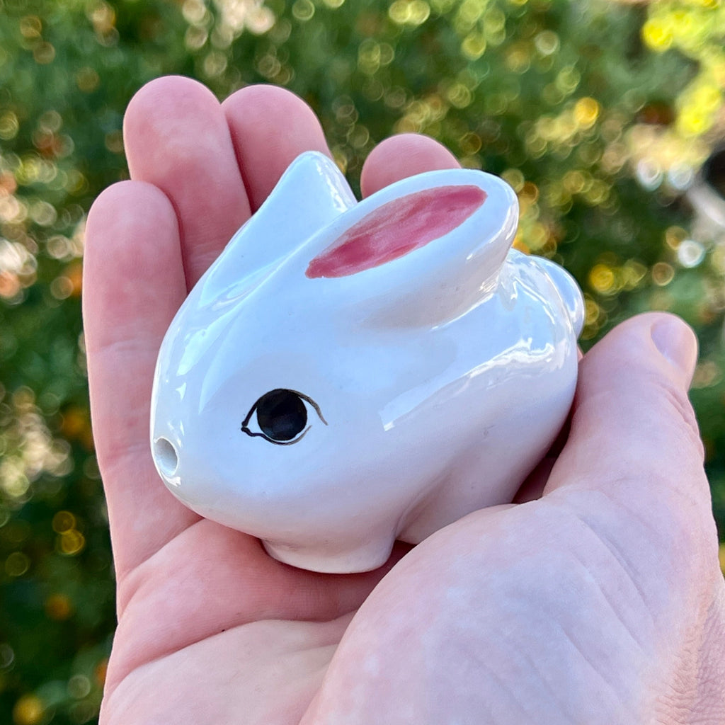 bunny pipe