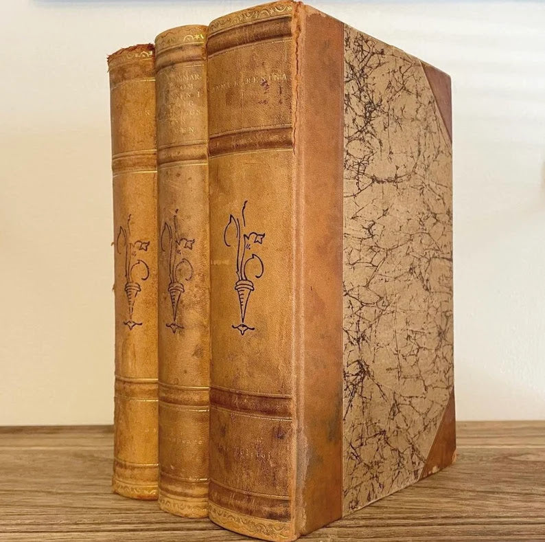 Antique leather and marble books