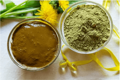 Henna plant & powder