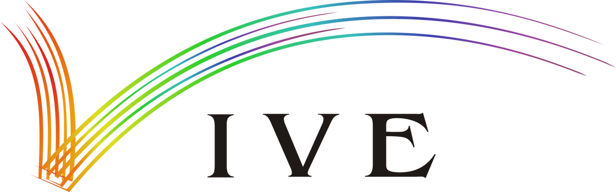 Vive Enterprises Limited