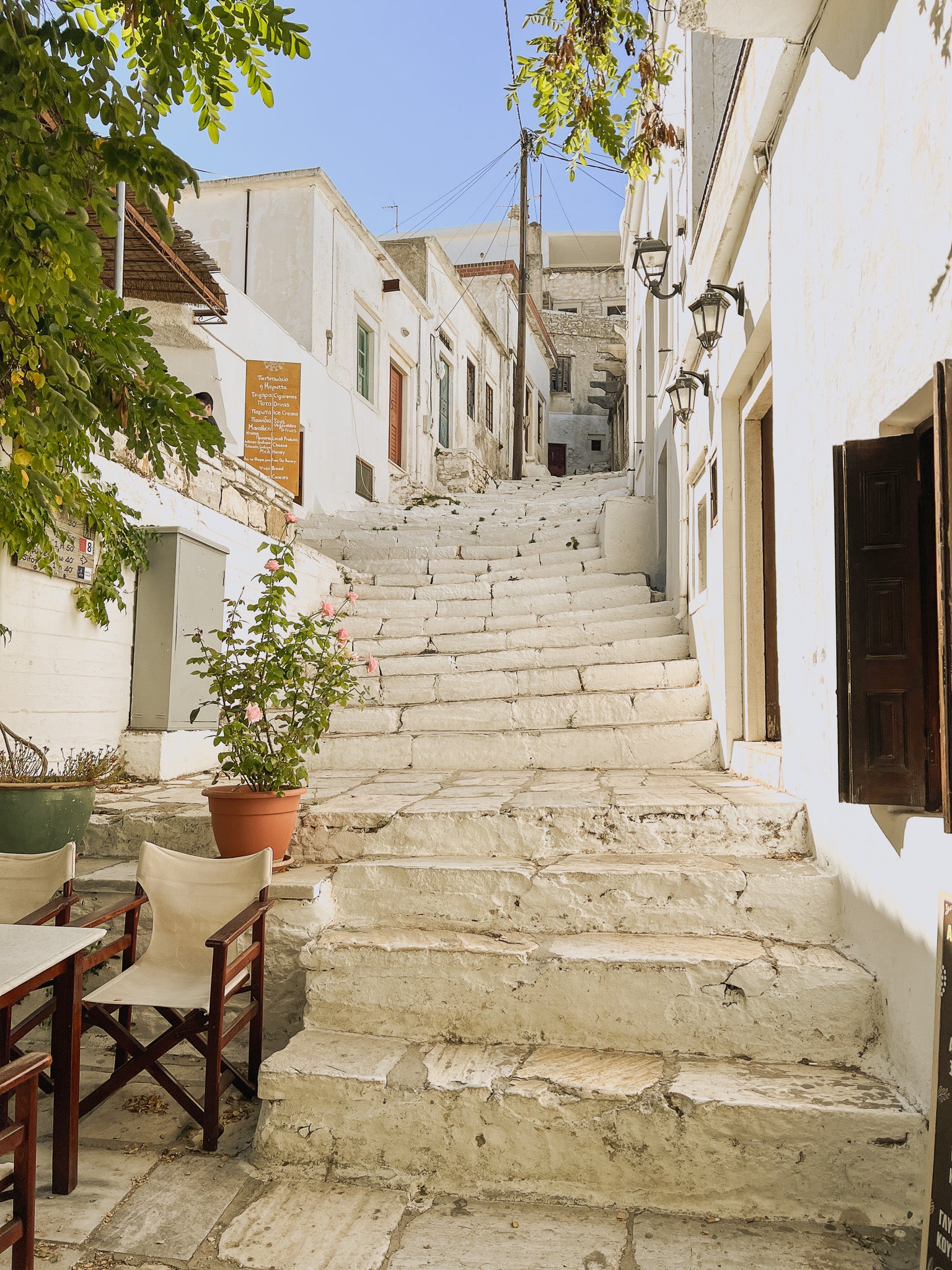 ELIA Olive Oil Cake Mix Naxos Travel Guide