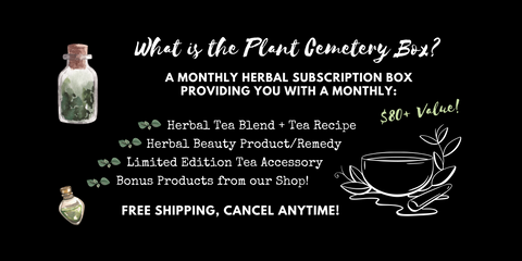 Plant Cemetery Herbal Tea Subscription Box