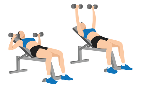 dumbell incline press