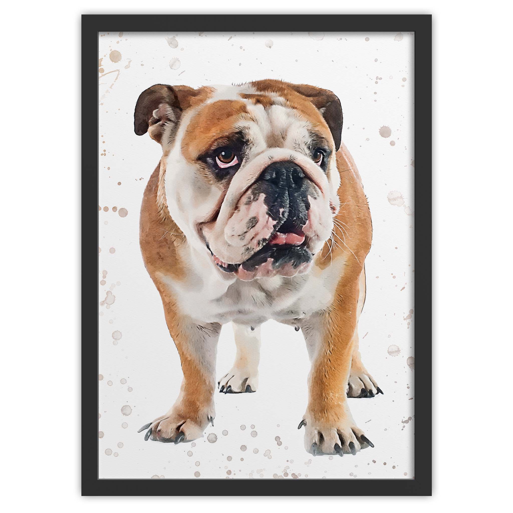 and English Bulldog - Prints