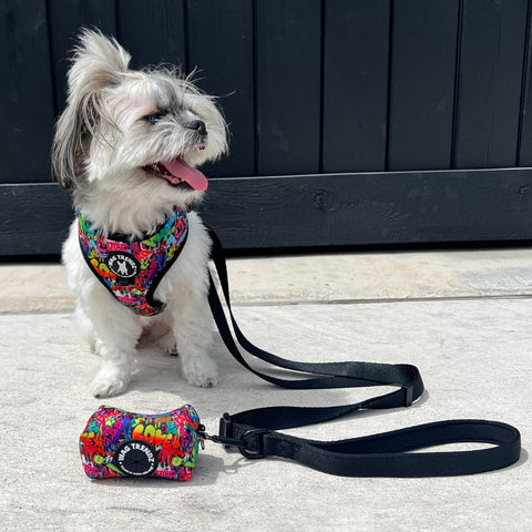 Funny Dog Quotes - Shih Tzu mix wearing dog harness and leash set in Street Graffiti - sitting outdoors in a driveway - Wag Trendz®