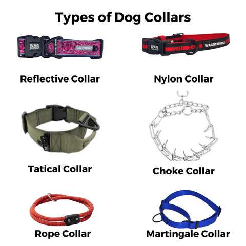 Types of Dog Collars