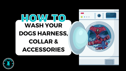 How to wash dog harness