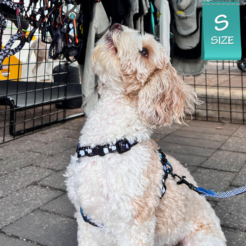 H Dog Harness - Small, Medium or Large Dogs | Wag Trendz®