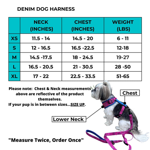 harness and leash set poop bag holder downtown denim