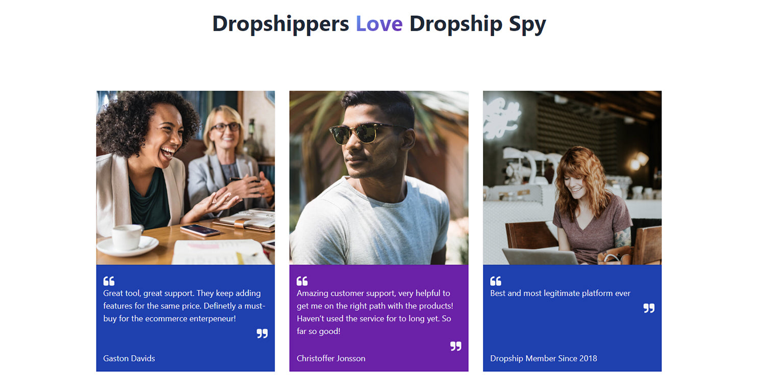 Dropship Spy is a dropshipping product research tool that allows businesses to find trending products.