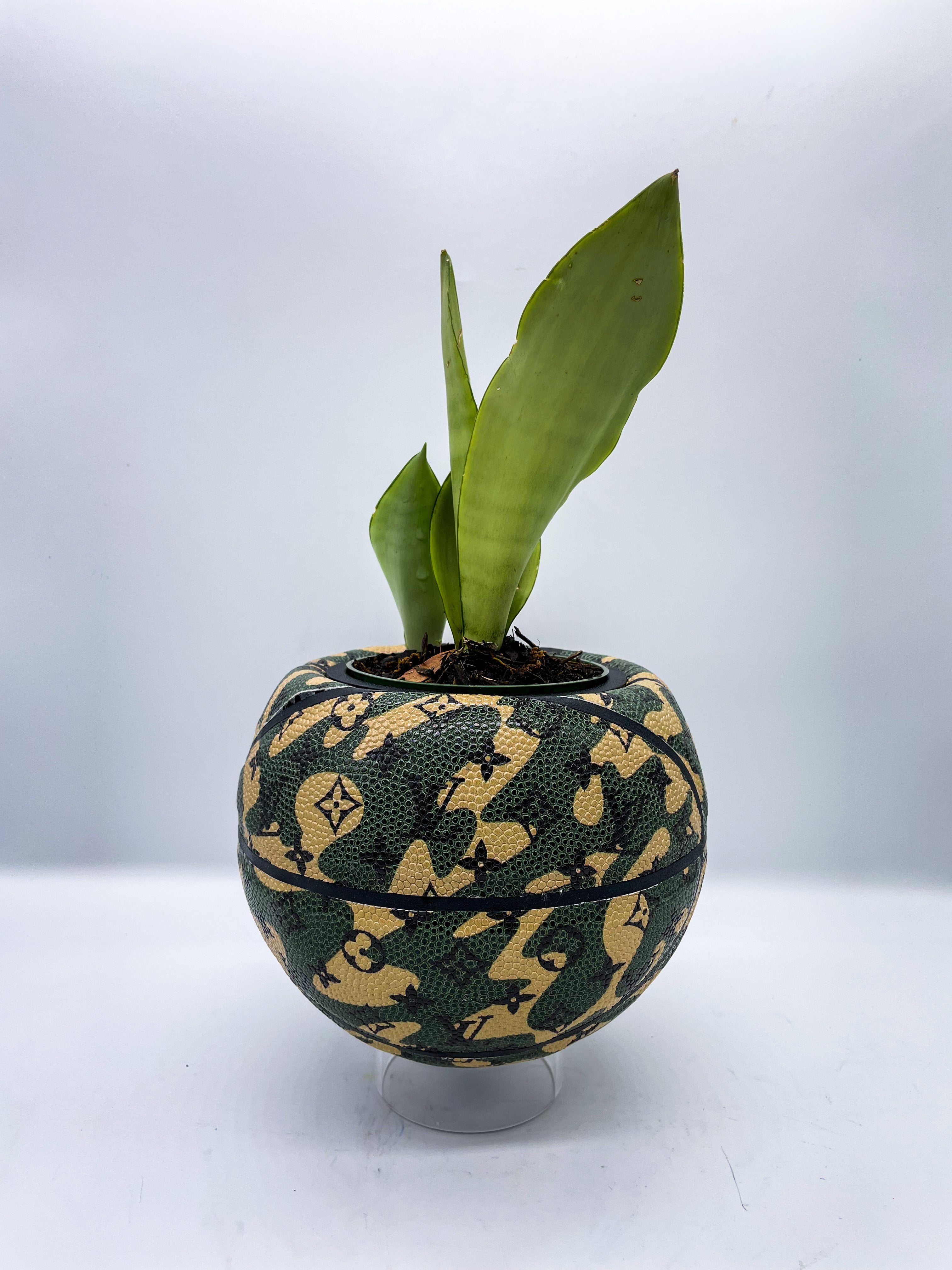 The Louie Lob Edition Basketball Planter