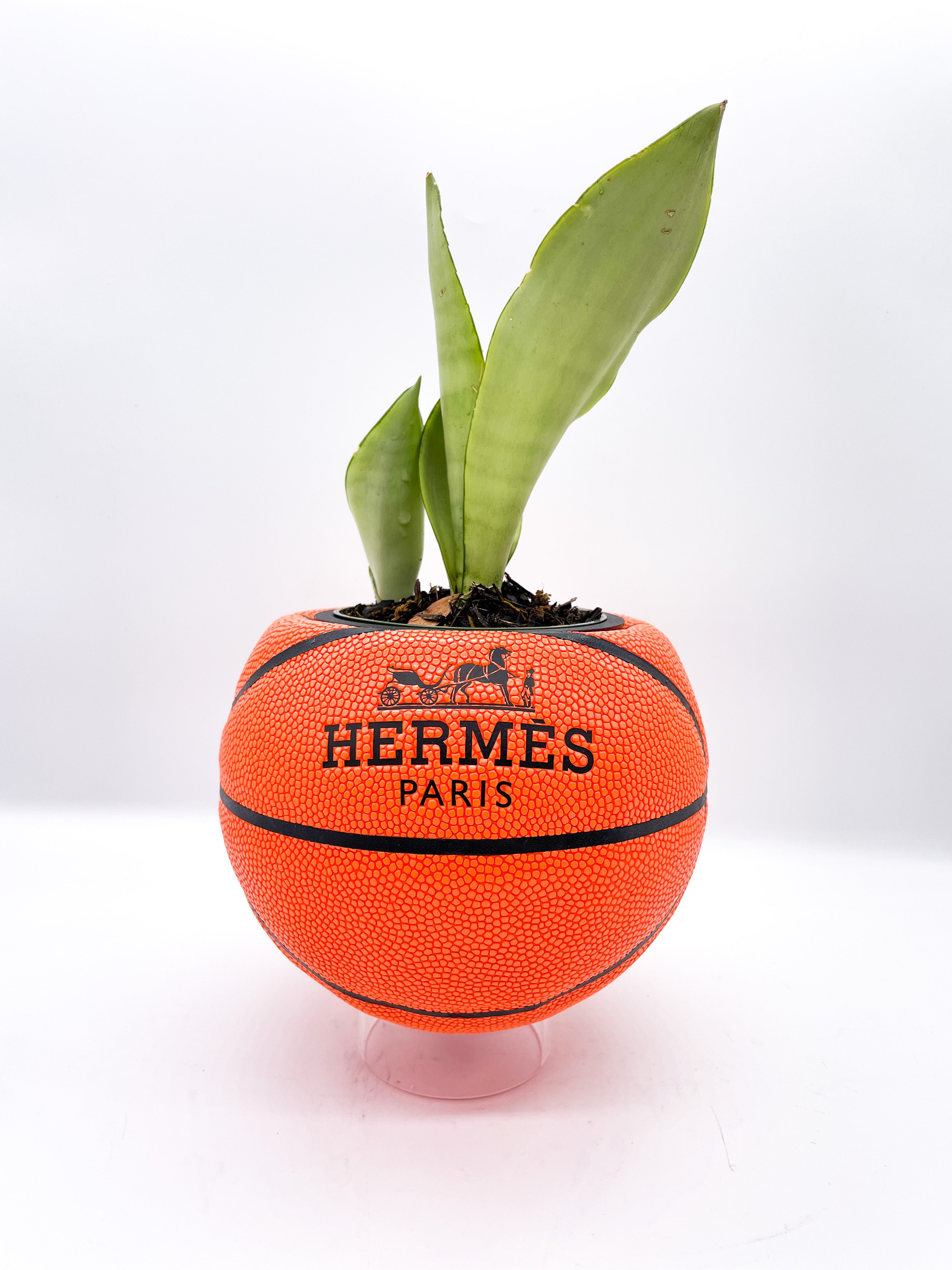 The Louie Lob Edition Basketball Planter