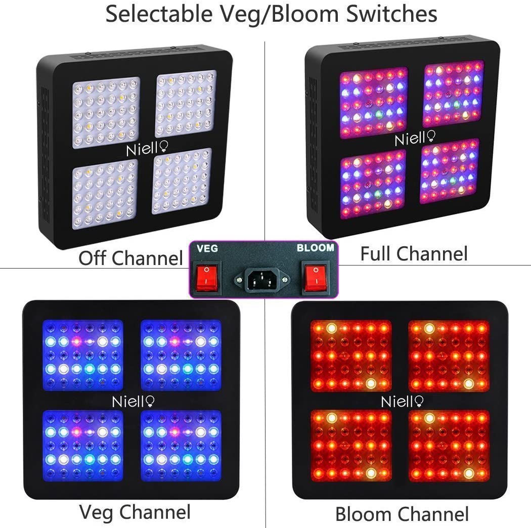 niello 600w led