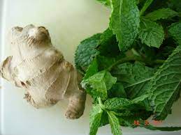 Ginger Root