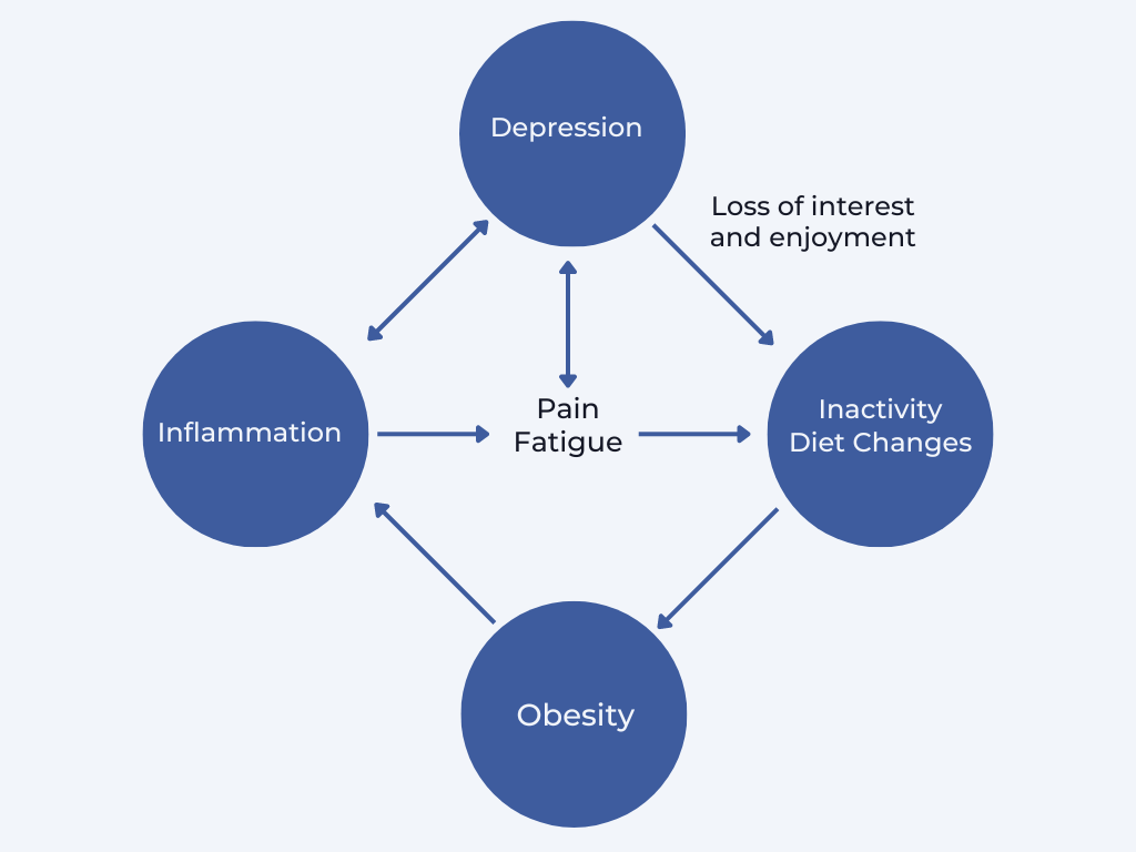 Diagram of Obesity-Inflammation-Depression Cycle