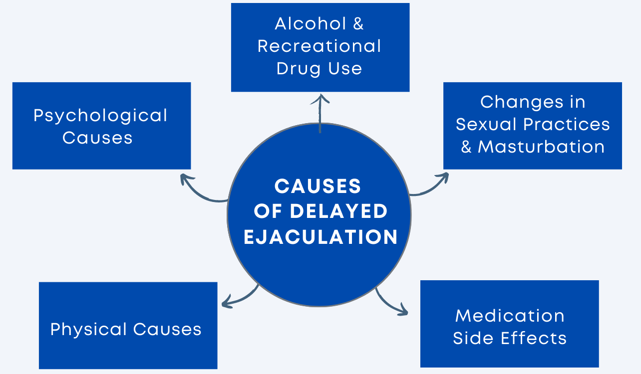 Diagram of the Causes of Delayed Ejaculation