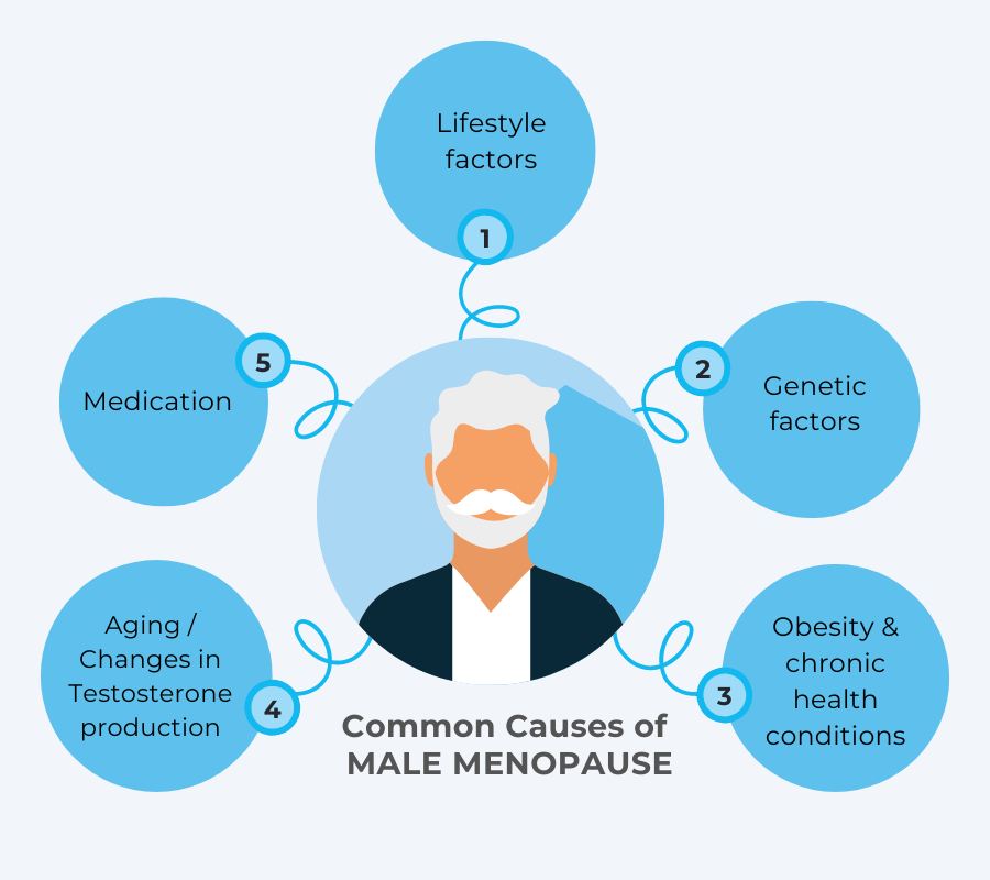 Diagram of the Common Causes of Male Menopause