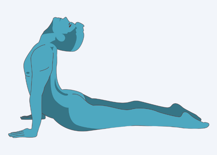 Illustration of Upward Facing Dog Position