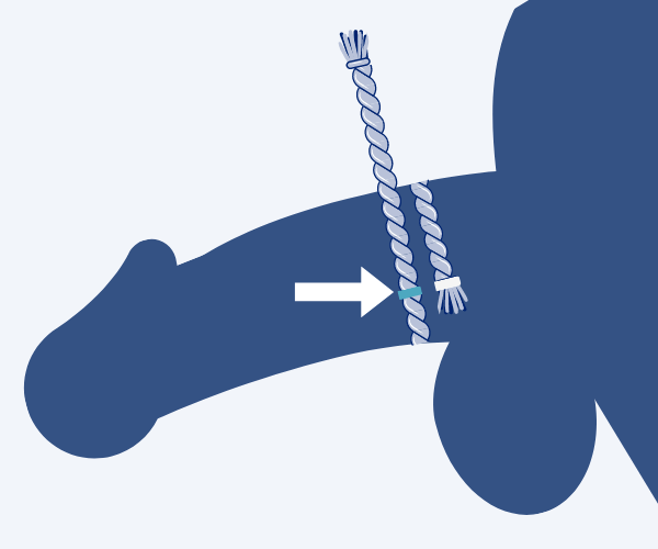 Illustration on How to Measure the Penis Girth