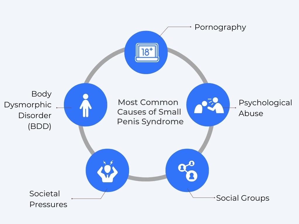 Most Common Causes of Small Penis Syndrome Diagram