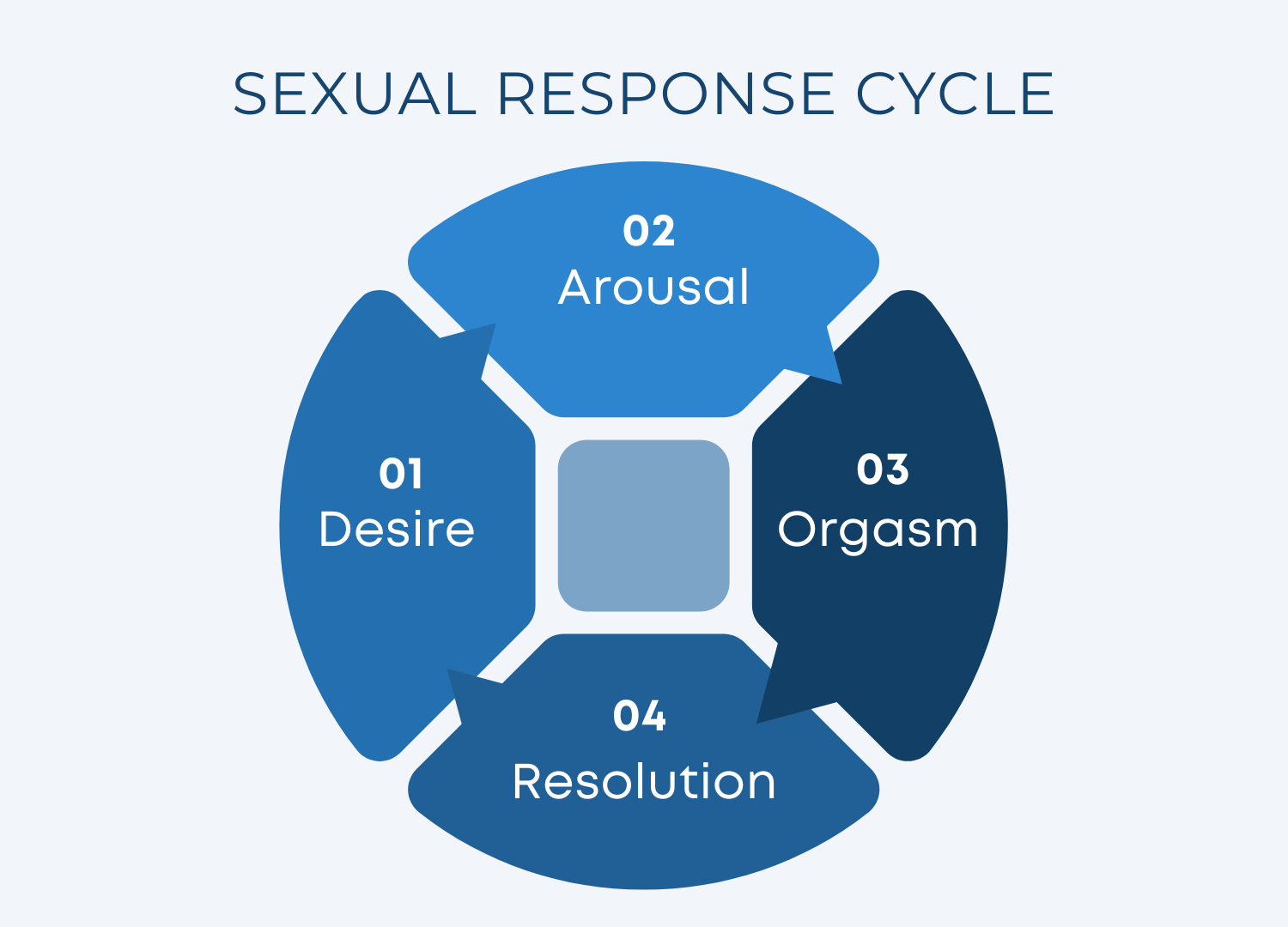 Diagram of the Sexual Response Cycle