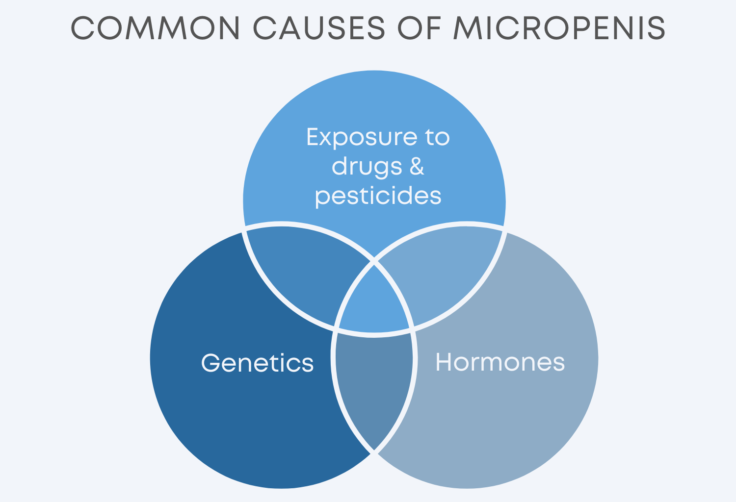Diagram on the Common Causes of Micropenis