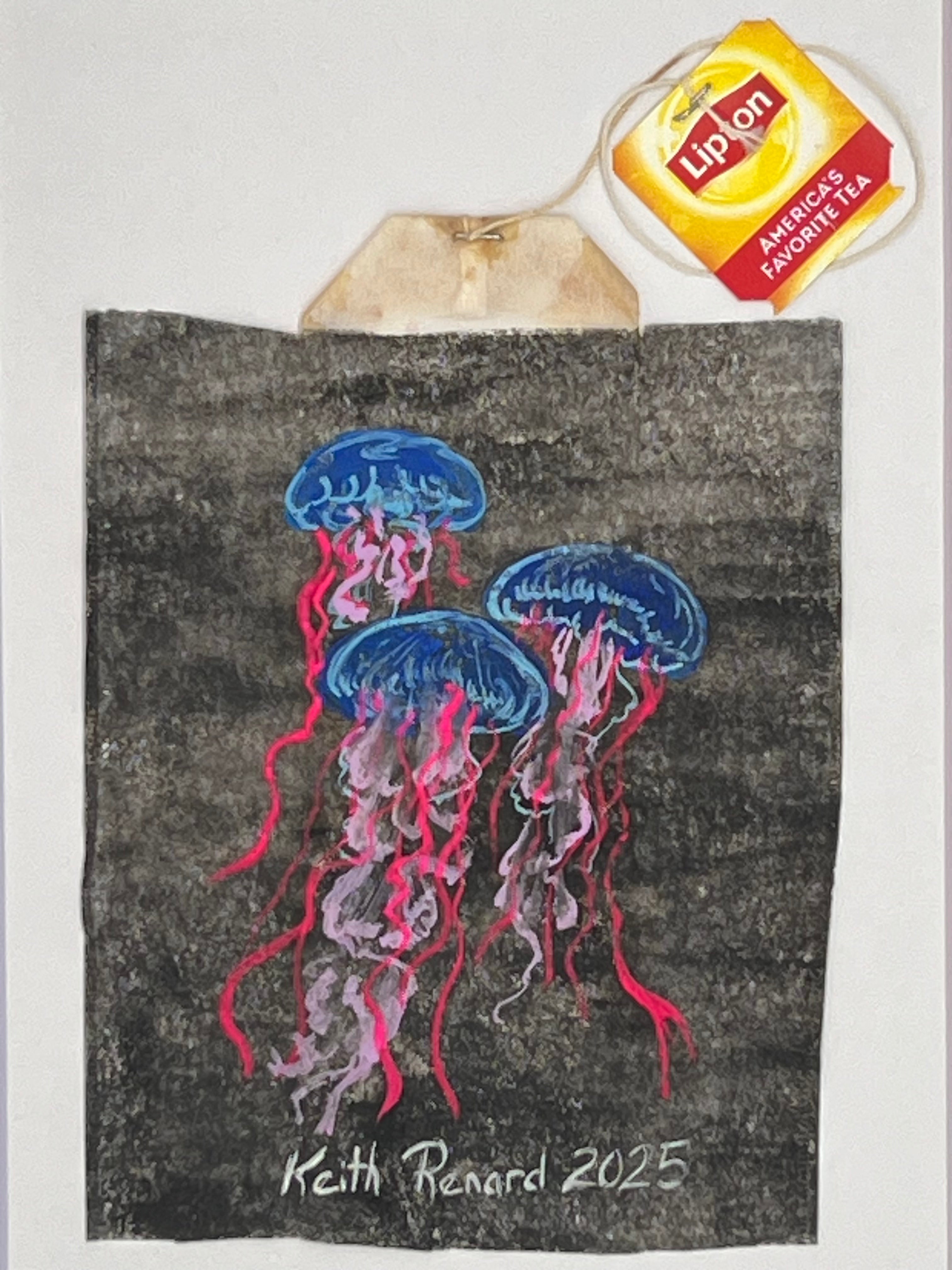 3 Jellyfish (Glows with Black light)