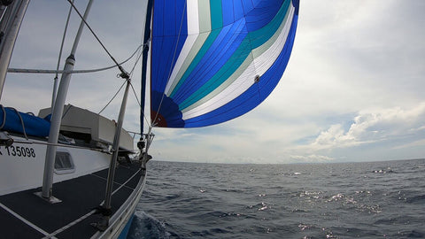 spinnaker_image