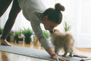 Formas divertidas de mantenerse activo con su mascota